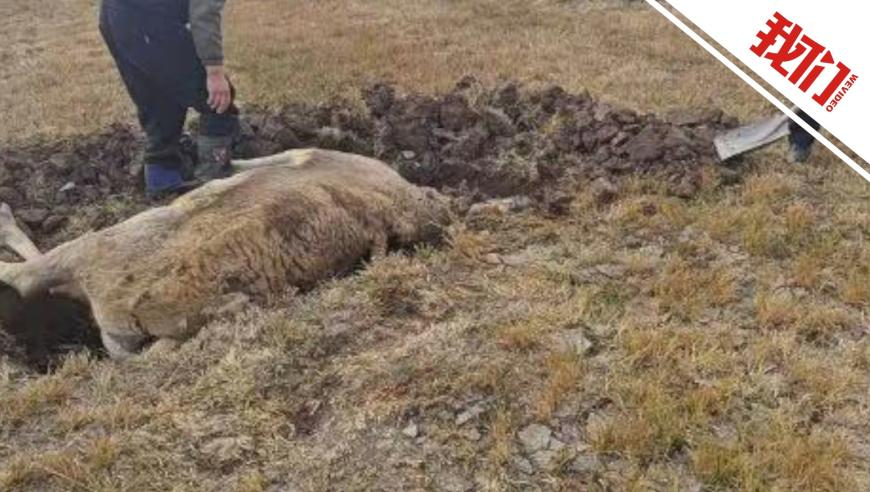 美國對加拿大施壓,鬼谷神算氺心,經(jīng)典解釋落實(shí)_投資版V2.83