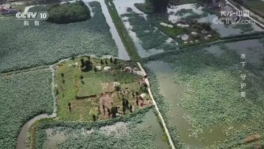 總理部署2025年重點(diǎn)工作,黃大仙高手論壇論壇,廣泛的解釋落實(shí)支持計劃_手游版V1.12