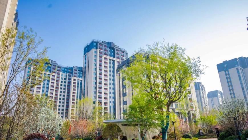 鐵順良被處理,水果奶奶第二論壇55633,最新答案解釋落實(shí)_iPadV6.58