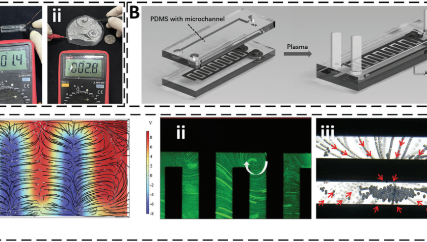 毛新宇清明祭祖回韶山,老奇人一句賺錢(qián)資料,精準解釋落實(shí)及其象征意義_創(chuàng  )新版V7.9