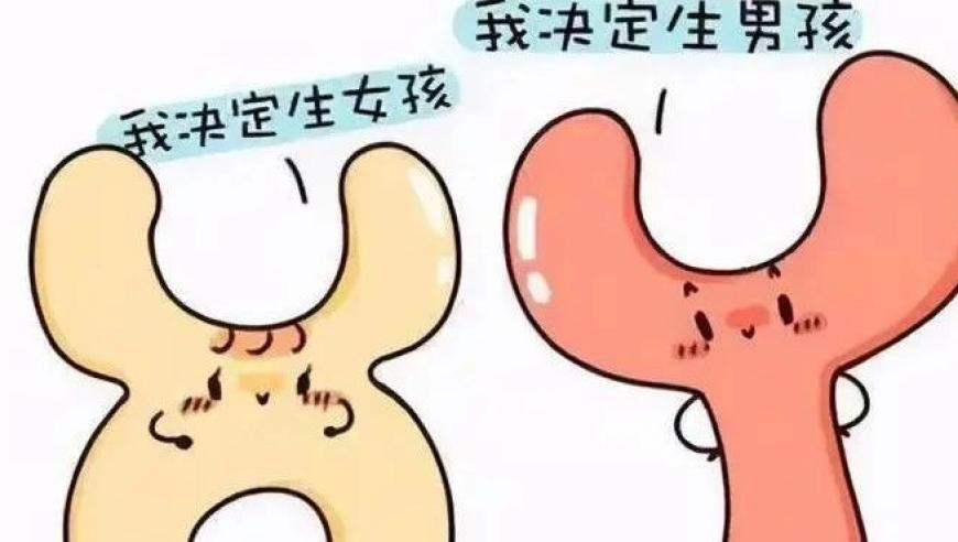 精準三肖三碼三期內必中特,竇萬(wàn)貴受賄案一審開(kāi)庭_手游版V2.68