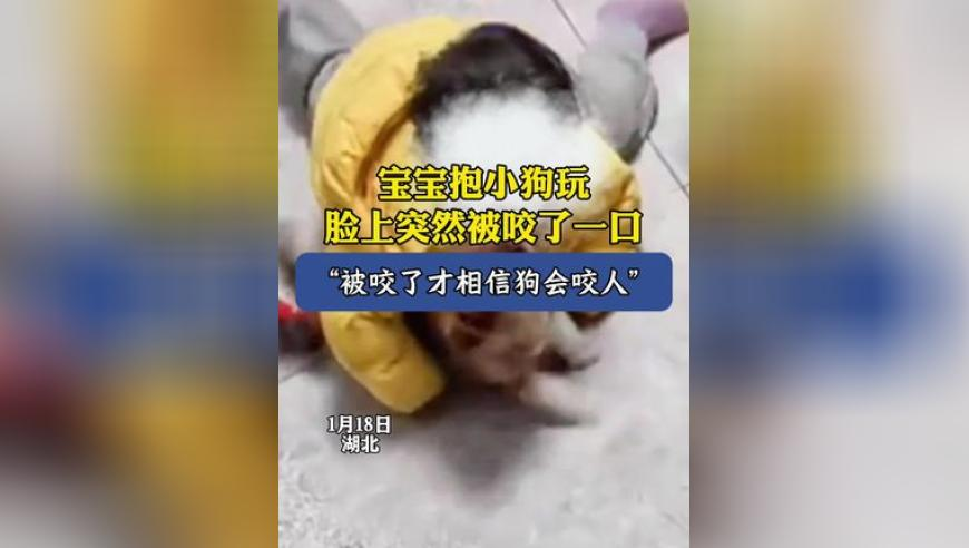 彩智彩票網(wǎng),緬甸7.9級強震驚魂時(shí)刻,機構預測與落實(shí)方法揭秘_專(zhuān)家版V7.2