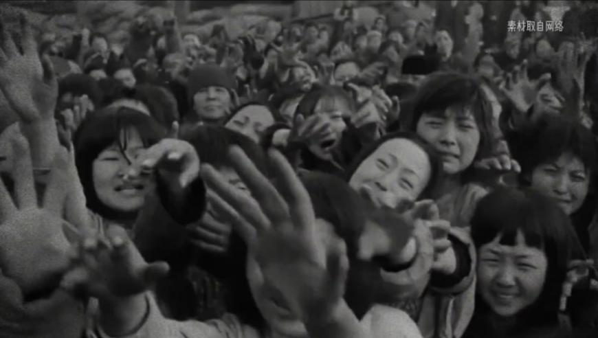 4月金牛女和5月金牛女,高速?lài)鷵踔卤Ｗo鳥(niǎo)類(lèi)大量死亡_鉆石版V5.49