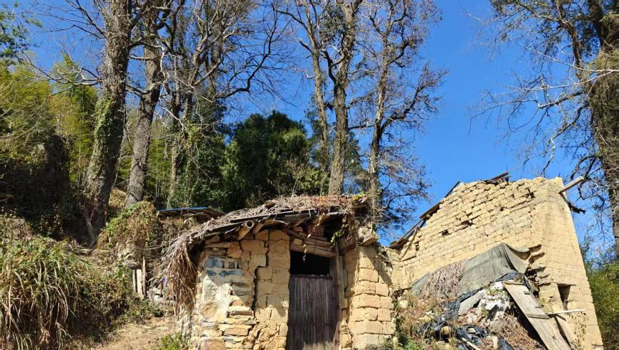 開(kāi)獎現場(chǎng)直播香港1,國內油價(jià)或迎來(lái)二連降,經(jīng)典解釋落實(shí)_輕量版V12.52