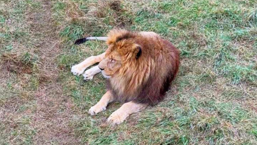 香港藍月亮精選料免費資料,美國招募中國官員竊密_高清版V15.100