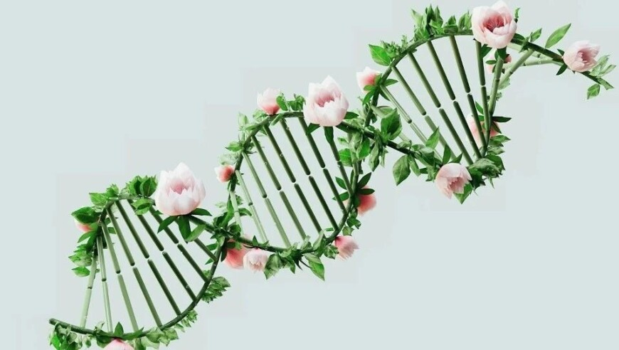 匯豐銀行內地支行調整,2025鎮壇之寶無(wú)錯輸盡光,全面解答解釋落實(shí)_錢(qián)包版V6.95