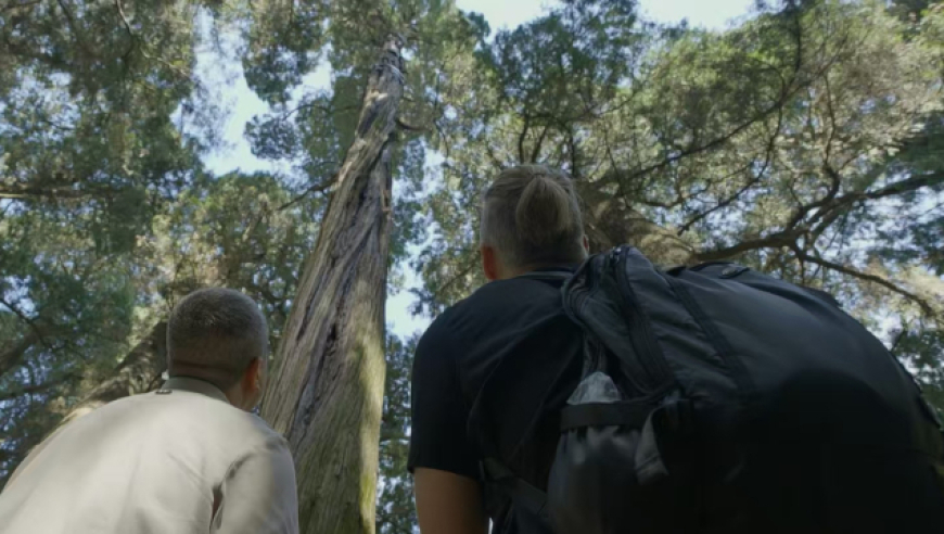 2025香港新老版跑狗圖,法院查封物消失，賠款難執行,最新正品解答落實(shí)_豪華版V13.60