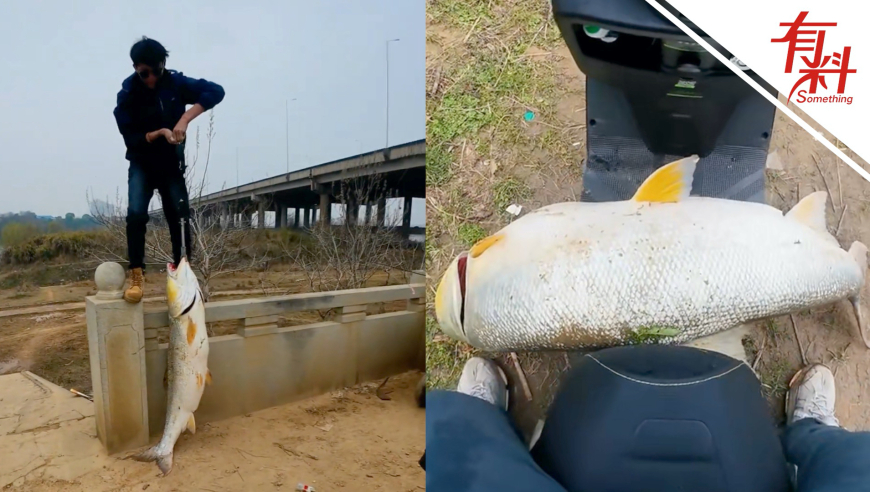 小孩高空拋物致車(chē)損,577777現場(chǎng)i快開(kāi)獎,精準解釋落實(shí)及其象征意義_創(chuàng  )新版V5.7