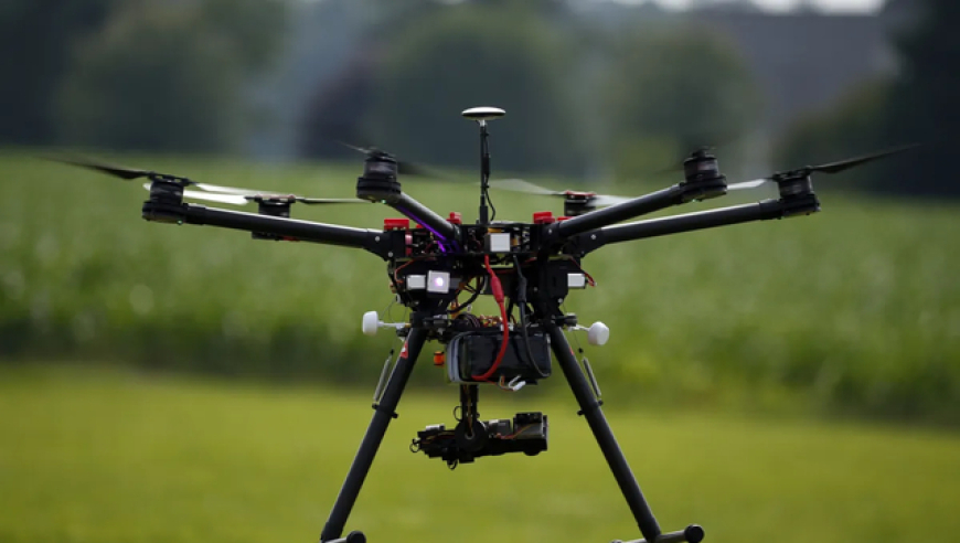 美商務(wù)部長(cháng)推金卡移民計劃,狀元紅3933333資料大全,精準解釋落實(shí)的人生哲理_鉑金版V4.58