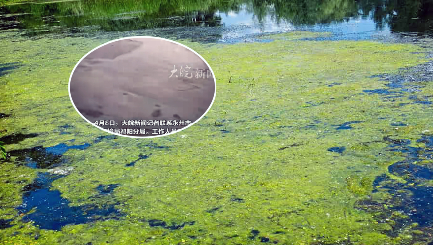 2025第二期管家婆圖片,世紀嬰兒千千去世,展開(kāi)計劃實(shí)施_AndroidV11.20